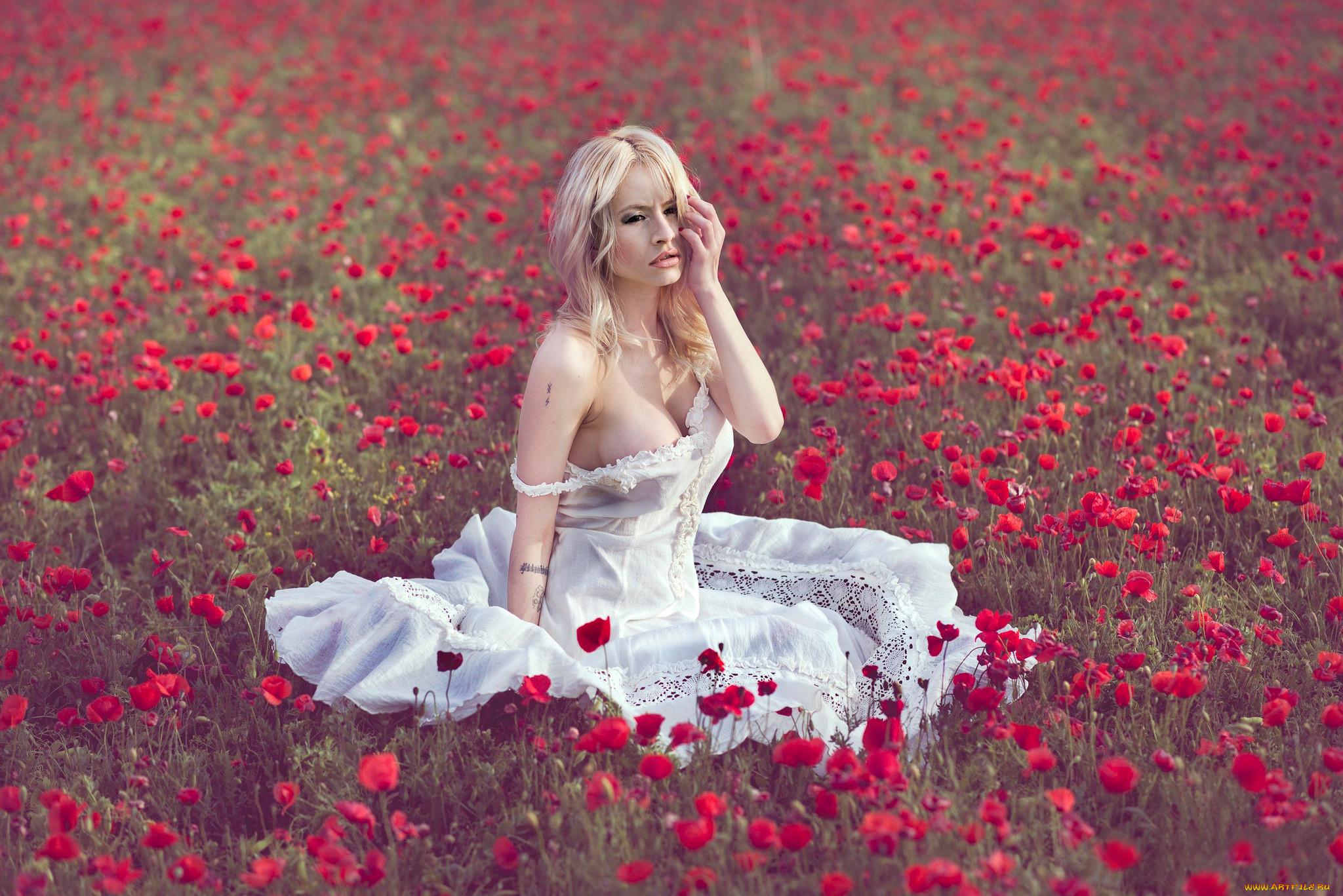 , -unsort , , vanessa, galway, , , , , , , 